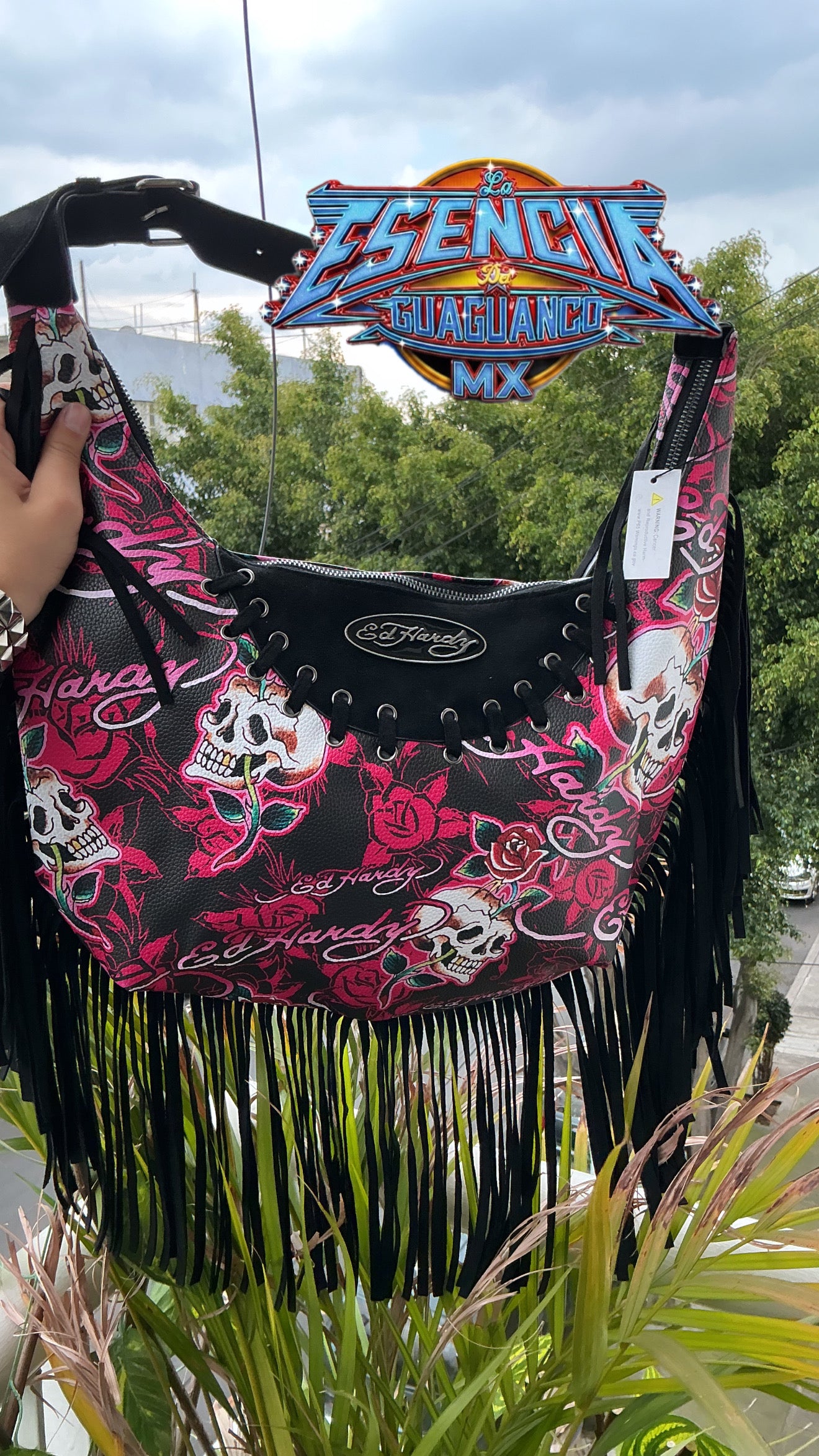 Bolsa de mano Ed Hardy