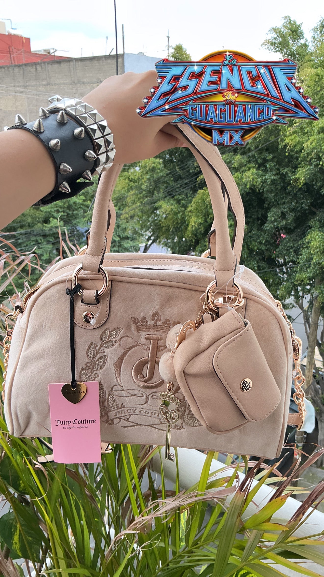 Bolsa de mano y Crossbody Juicy Couture