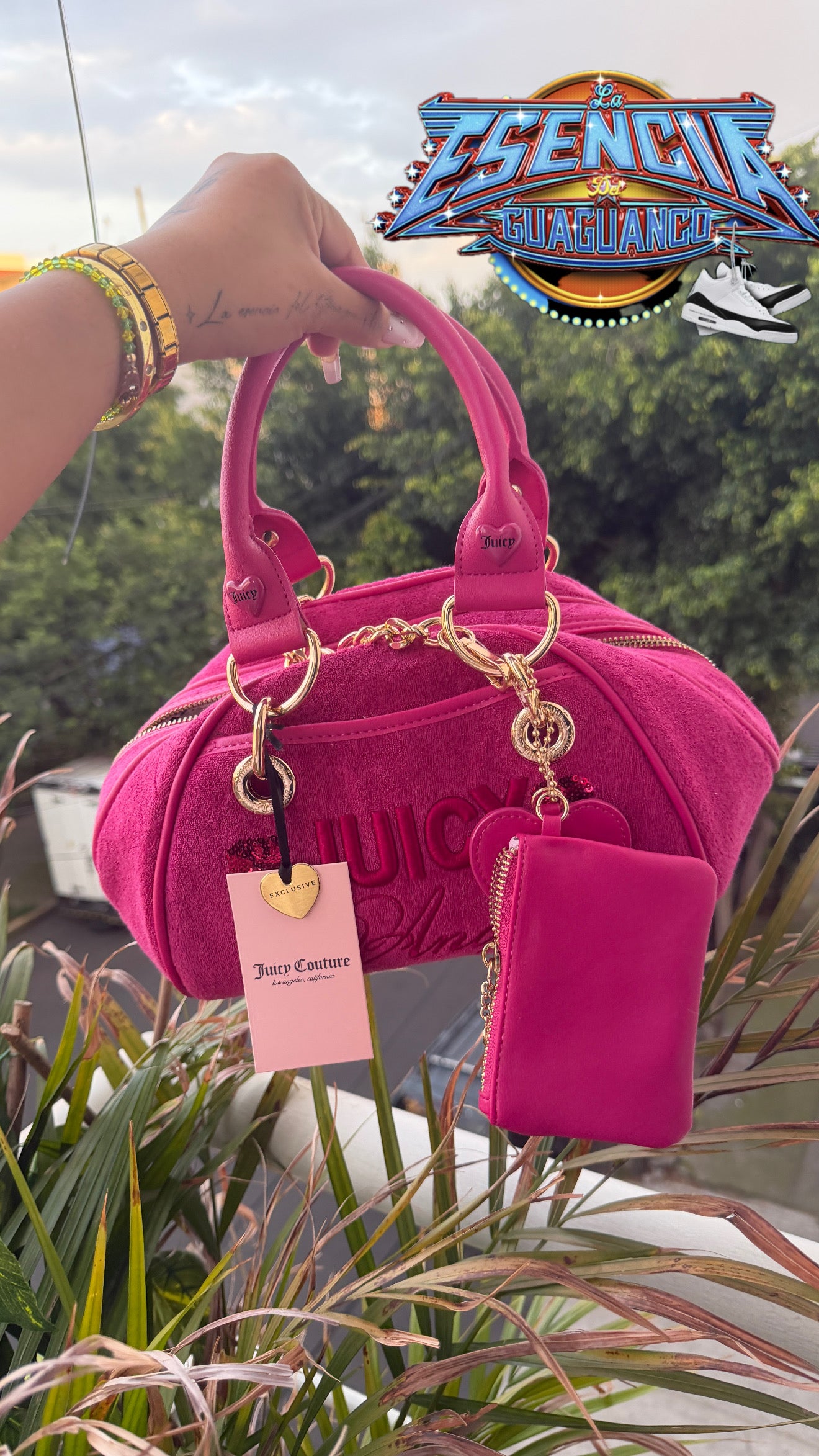 Bolsa de mano y crossbody Juicy Couture ✨