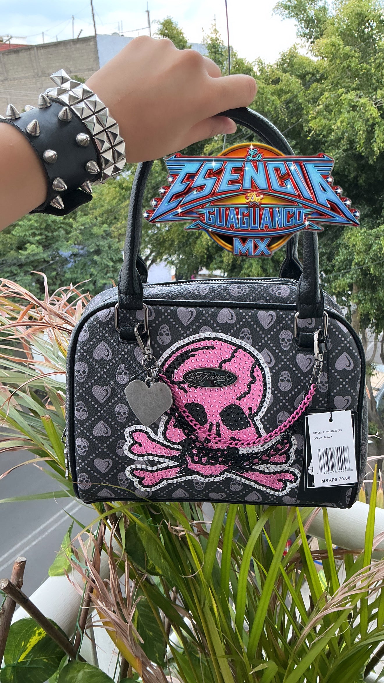 Bolsa de mano y crossbody Ed Hardy